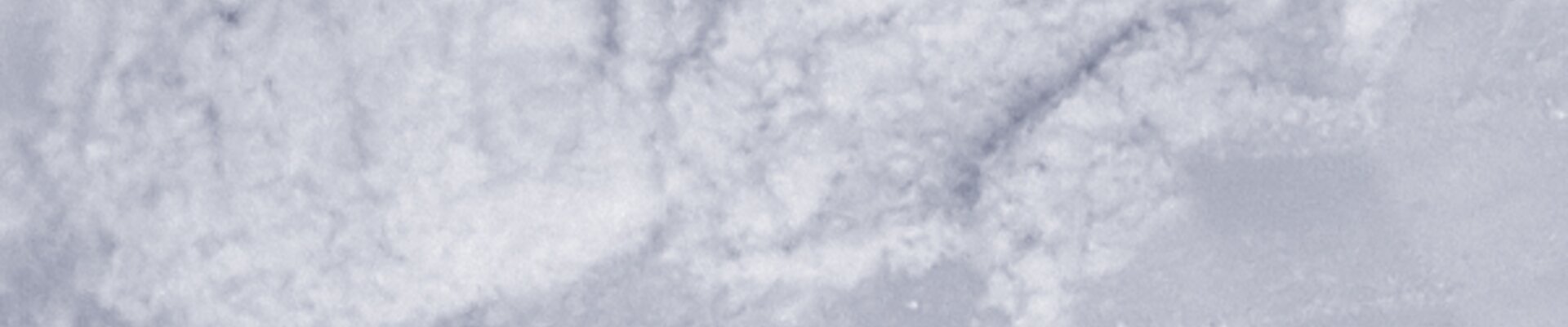 Powdered polymer material Powdered polymer material