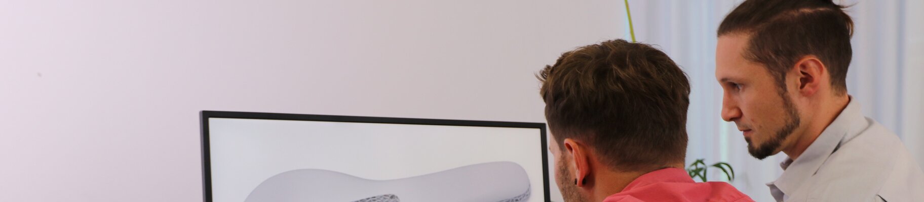 Discussion of 2 people in front of a screen